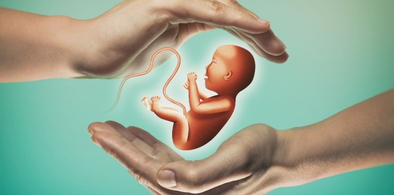A picture of a fetus.