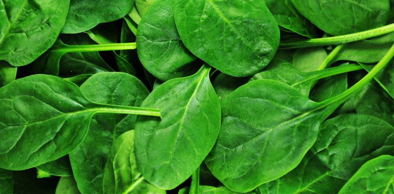 A large pile of spinach leaves.